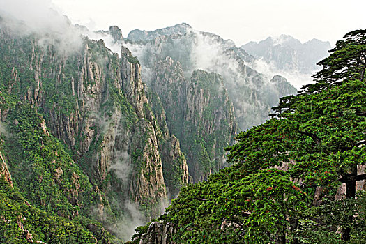 三唑仓淘宝上隐藏叫什么C1B8D97C5-18975